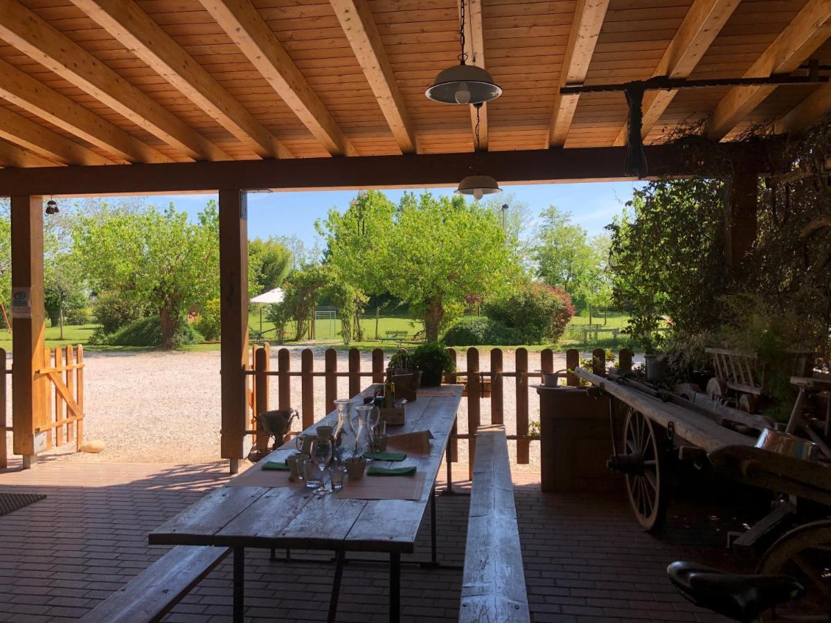 Agriturismo Il Podere Vedelago Con San Bernardo, Alpaca E Una Pentola Di Cose Da Scoprire Екстериор снимка
