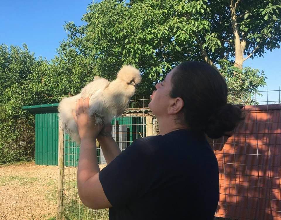 Agriturismo Il Podere Vedelago Con San Bernardo, Alpaca E Una Pentola Di Cose Da Scoprire Екстериор снимка
