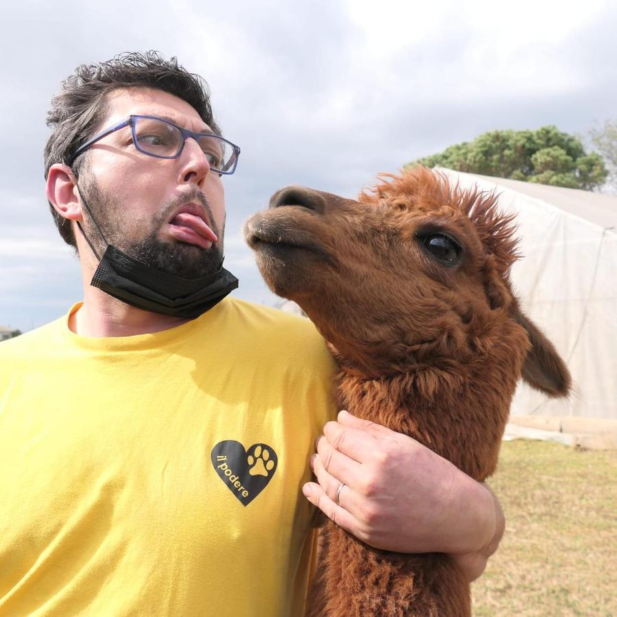 Agriturismo Il Podere Vedelago Con San Bernardo, Alpaca E Una Pentola Di Cose Da Scoprire Екстериор снимка