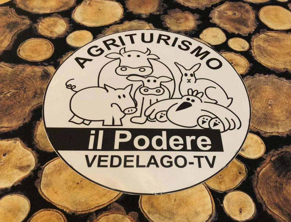 Agriturismo Il Podere Vedelago Con San Bernardo, Alpaca E Una Pentola Di Cose Da Scoprire Екстериор снимка