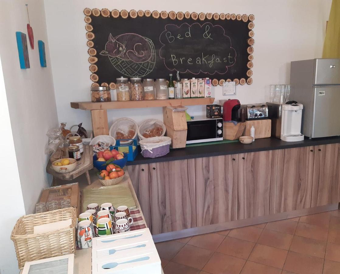 Agriturismo Il Podere Vedelago Con San Bernardo, Alpaca E Una Pentola Di Cose Da Scoprire Екстериор снимка