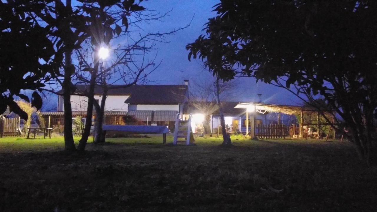 Agriturismo Il Podere Vedelago Con San Bernardo, Alpaca E Una Pentola Di Cose Da Scoprire Екстериор снимка
