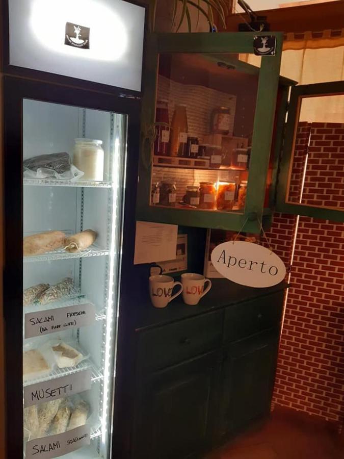 Agriturismo Il Podere Vedelago Con San Bernardo, Alpaca E Una Pentola Di Cose Da Scoprire Екстериор снимка