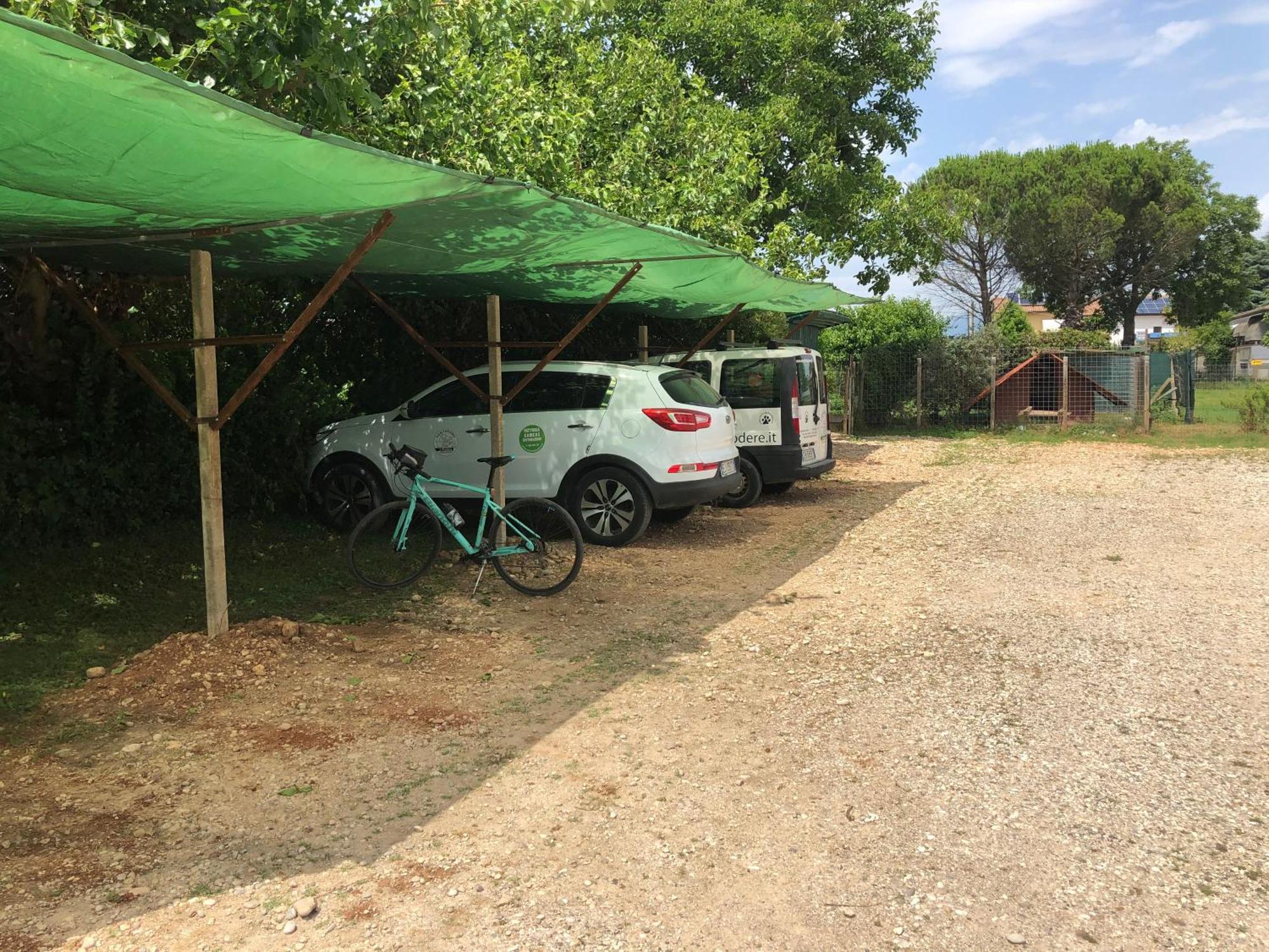 Agriturismo Il Podere Vedelago Con San Bernardo, Alpaca E Una Pentola Di Cose Da Scoprire Екстериор снимка