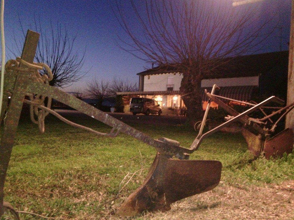 Agriturismo Il Podere Vedelago Con San Bernardo, Alpaca E Una Pentola Di Cose Da Scoprire Екстериор снимка