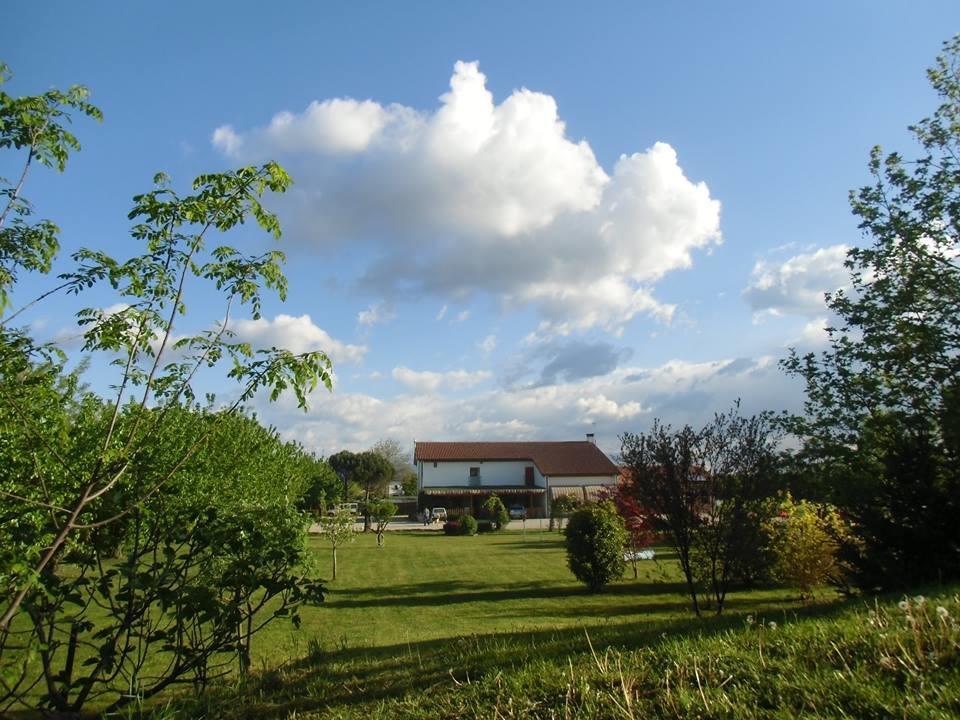 Agriturismo Il Podere Vedelago Con San Bernardo, Alpaca E Una Pentola Di Cose Da Scoprire Екстериор снимка