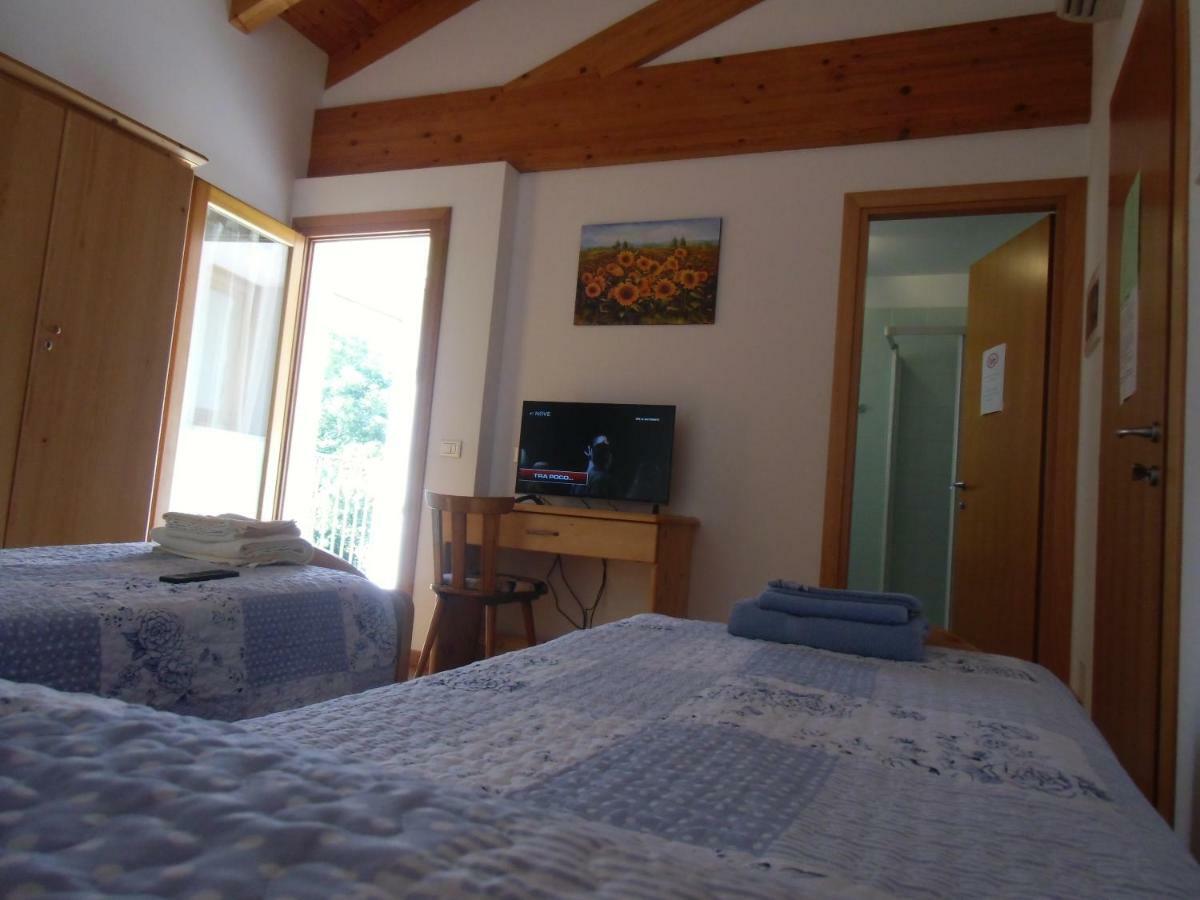 Agriturismo Il Podere Vedelago Con San Bernardo, Alpaca E Una Pentola Di Cose Da Scoprire Екстериор снимка